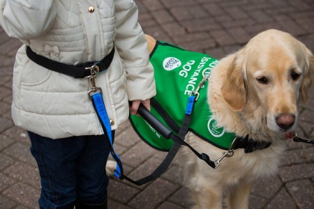 Terapi Anjing Peliharaan Untuk Anak Pengidap Autis